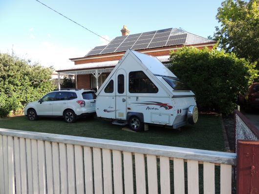 Avan in Kelvins garden